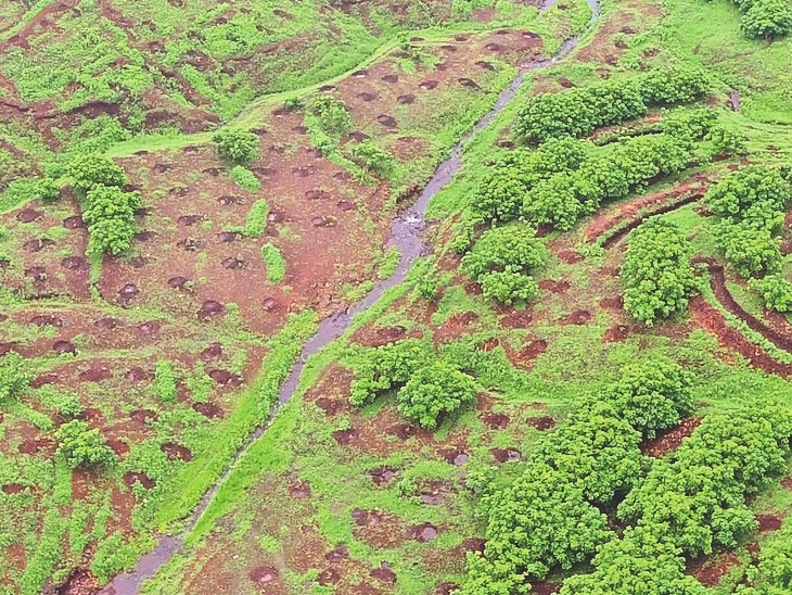 200 फीट ऊंची सरवन डेरी पहाड़ियों पर 5 गांवों के लोगों ने 80 दिन में लगा दिए 25 हजार पौधे|बांसवाड़ा,Banswara - Dainik Bhaskar