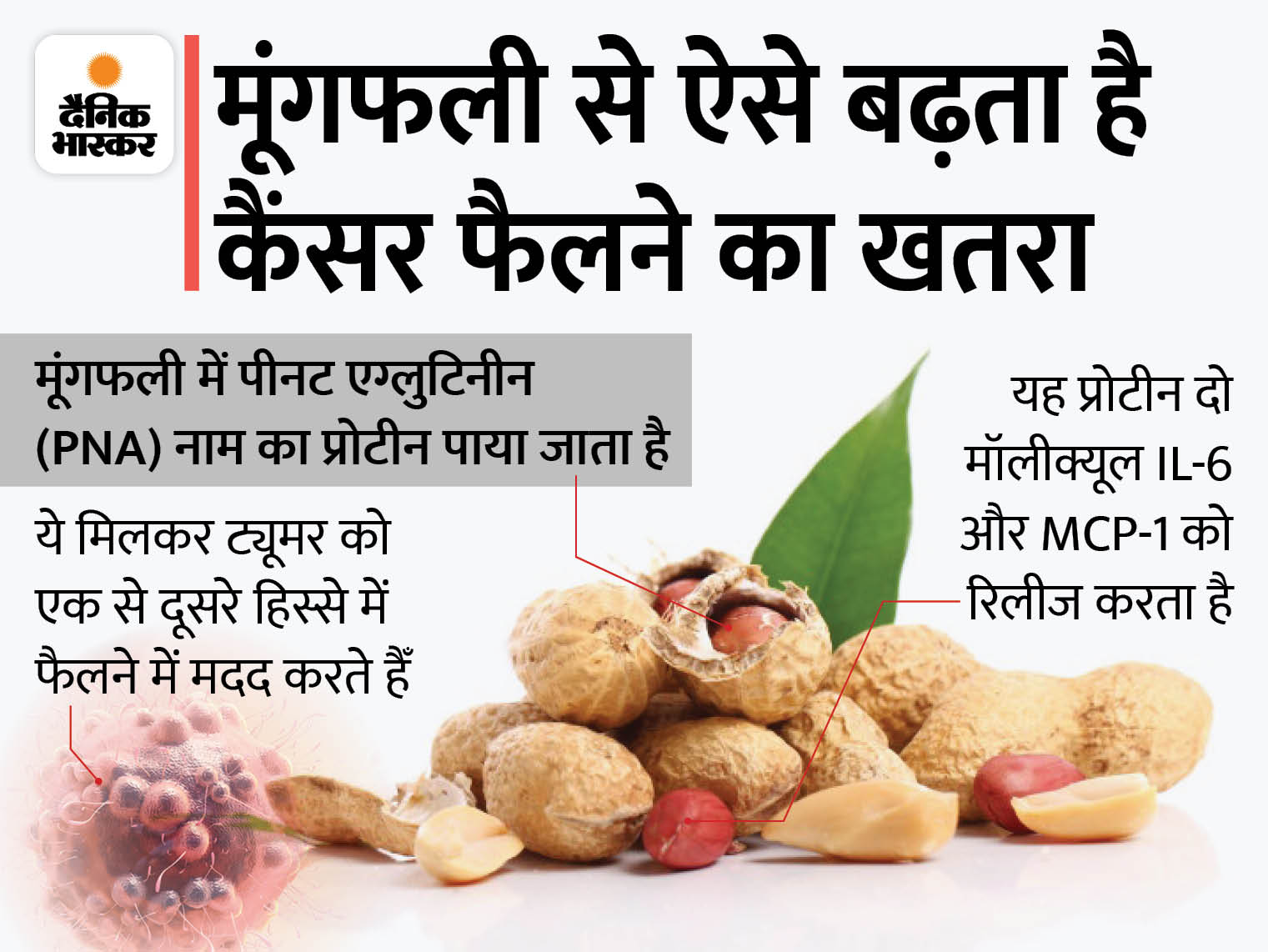Peanut Cancer Connection; Jyada Mungfali Khane Ke Nuksan Kya Hai? All