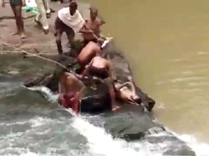 अगले दिन रविवार को फिर उसकी तलाश शुरू की गई। काफी मशक्कत के बाद देर शाम उसका शव बरामद किया गया।