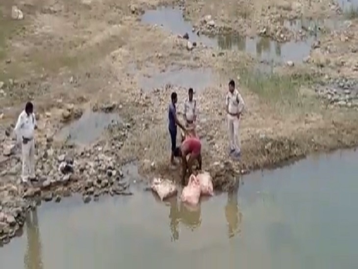 वन विभाग ने बोरियों को कराया जब्त।