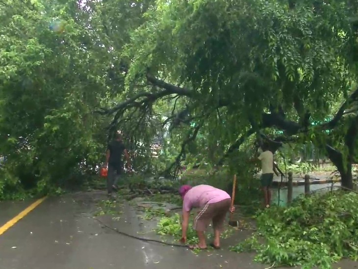 बारिश के चलते दिल्ली के मंडी हाउस इलाके में कई पेड़ टूटकर सड़क पर गिर गए। इन्हें सड़क से हटाए जाने का काम जारी है।