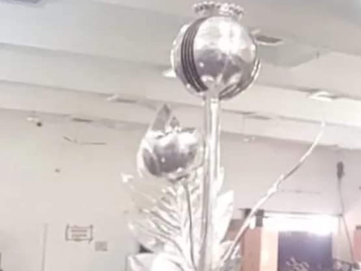 चांदी से बने अफीम के इस पौधे को किसान ने मंदिर प्रबंधन को भेंट किया।