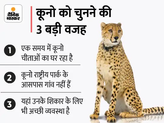 Breaking News LIVE Update | BJP Congress Politics News, Coronavirus Crisis Latest News | असम में 7 ट्रकों में आगजनी, 5 ड्राइवर जिंदा जले, पुलिस को उग्रवादी गुट DNLA पर शक - Vimarsana News