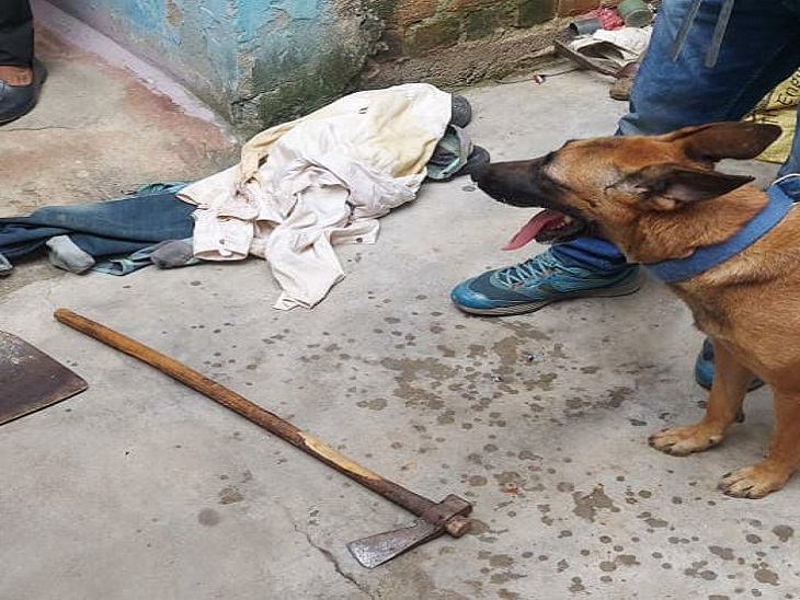 जांच के दौरान पुलिस डॉग द्वारा खोजा गया हत्या में इस्तेमाल हथियार।