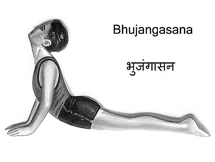 भुजंगासन