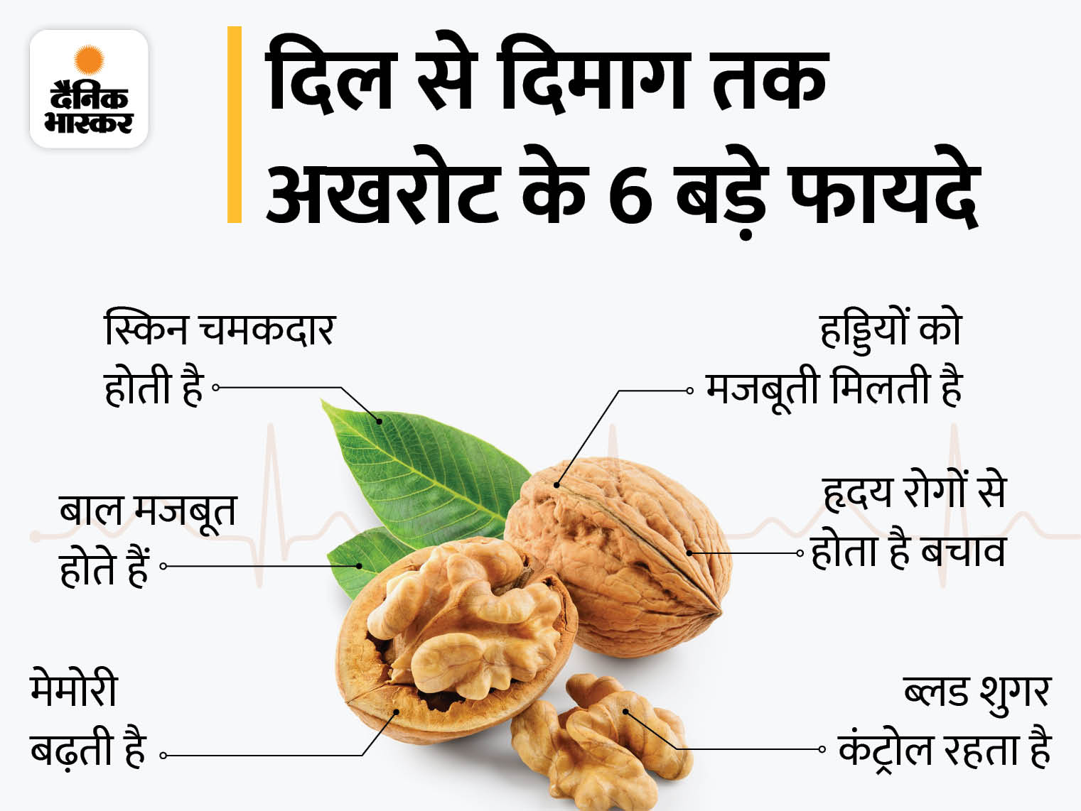 Walnuts Akhrot Health Benefits; Reduces Risk Of Heart Disease And