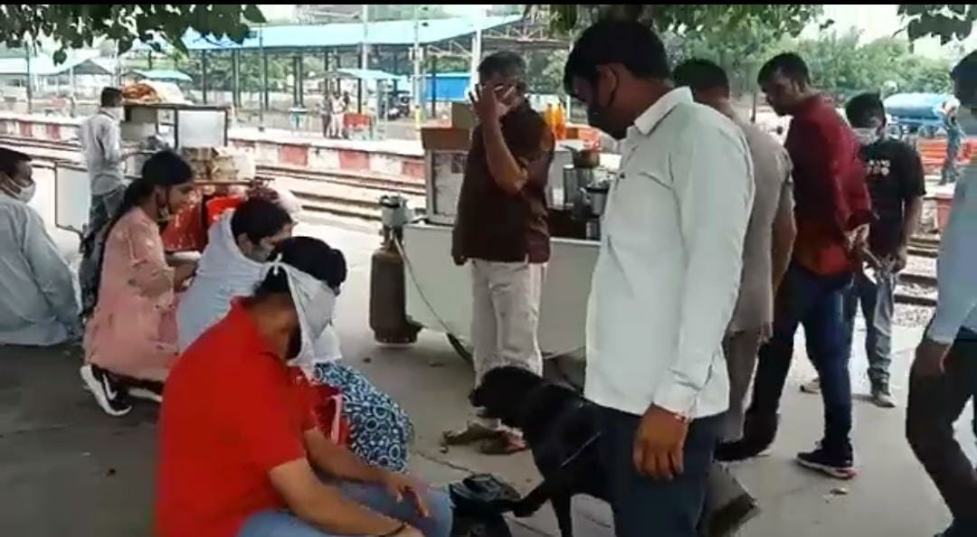 रोहतक रेलवे स्टेशन पर यात्रियों के बैग चेक करती डॉग स्क्वायड टीम।