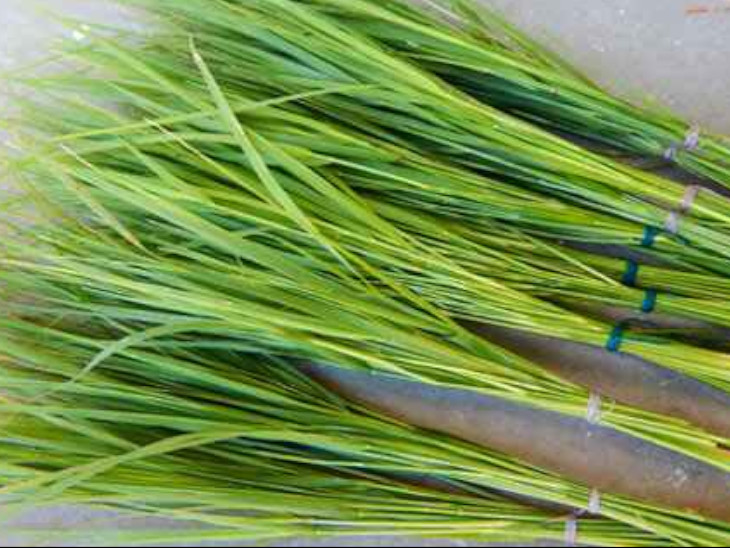 6 september, Monday, kushgrahini amawasya, Bhadrapada amawasya on 6th