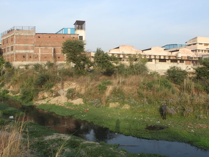 मुरादाबाद में गांगन नदी के भीतर बना ली गईं 1500 से अधिक फैक्ट्री। नदी बस एक नाले की शक्ल में नजर आती है अब।