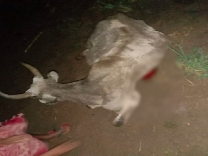 हच के खतरनाक रफ्तार से पागल पागल हो रहा है।
