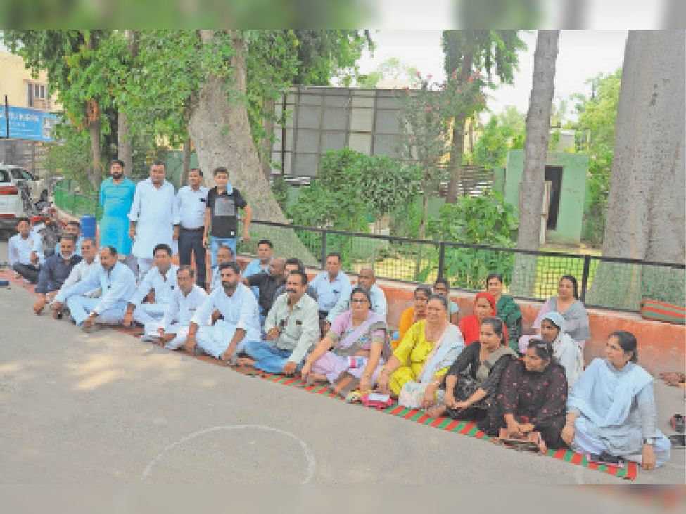 आवारा कुत्ताें से निजात दिलाने के लिए पार्षदाें ने नप में लगाया धरना|श्रीगंंगानगर,Sriganganagar - Dainik Bhaskar