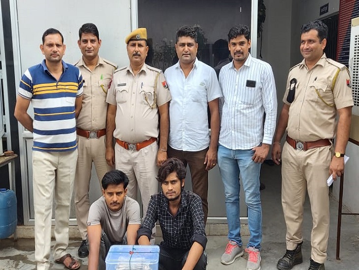 सुनसान सड़क से आंखों पर पट्‌टी बांधकर ले जाते हैं, रुपए नहीं होने पर गेमिंग ऐप में ट्रांसफर करवाते हैं रकम, दो गिरफ्तार|जयपुर,Jaipur - Dainik Bhaskar