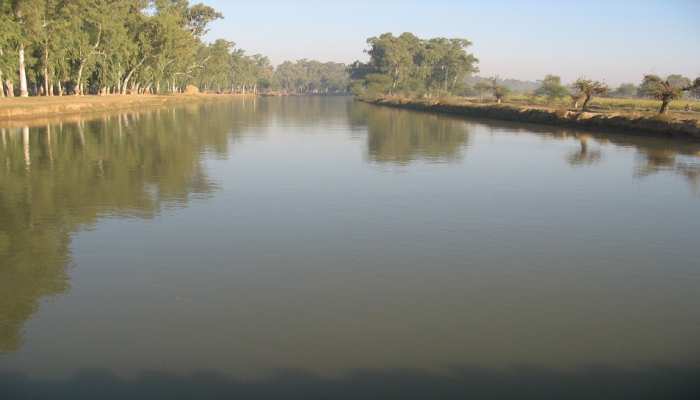 गाड़ी में मिले मोबाइल, आधार कार्ड और जहर की खाली पुड़िया, ड्राइवर के नहर में कूदने की आशंका, गोताखोर कर रहे तलाश|श्रीगंंगानगर,Sriganganagar - Dainik Bhaskar