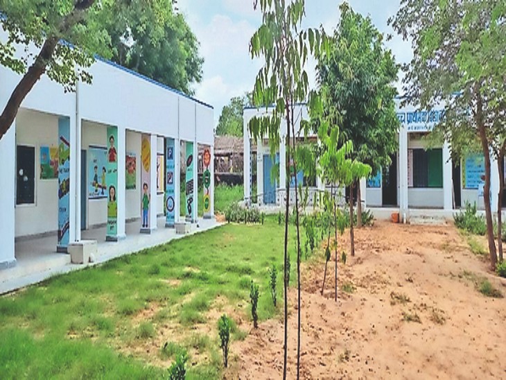 भामाशाहों ने 10.50 लाख रुपए के कार्य करवाए युवाओं ने गार्डन बनाया, नतीजा नामांकन बढ़ा|सीकर,Sikar - Dainik Bhaskar