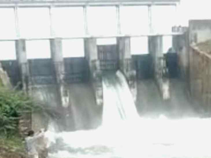 12 फिट तक खोलना पड़ा जैतपुर बांध का गेट, बिजली गिरने से भैसों को मौत|भीलवाड़ा,Bhilwara - Dainik Bhaskar