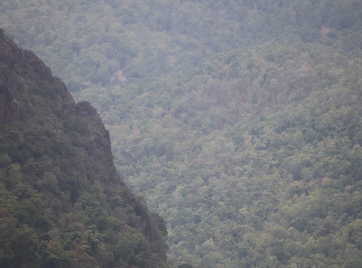 यह प्रकार से बेहूदा है। जो गणपति बप्पा विराजमान है, बोल चाल की भाषा में वीरान गांव कहा जाता है।