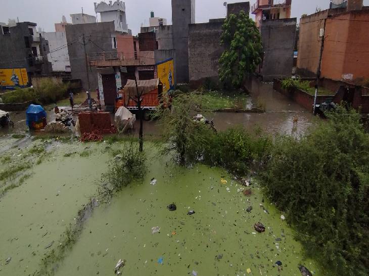 टीला मोड़ समेत कई इलाकों में पार्कों में पानी भर गया है। जो खाली प्लॉट थे, उनमें भी पानी भरने से तालाब जैसे हालात हो गए हैं। लोगों को अब बारिश के बाद इनमें मच्छर पनपने का खतरा है। वैसे ही मौसमी बुखार कहर बरपा रहा है।