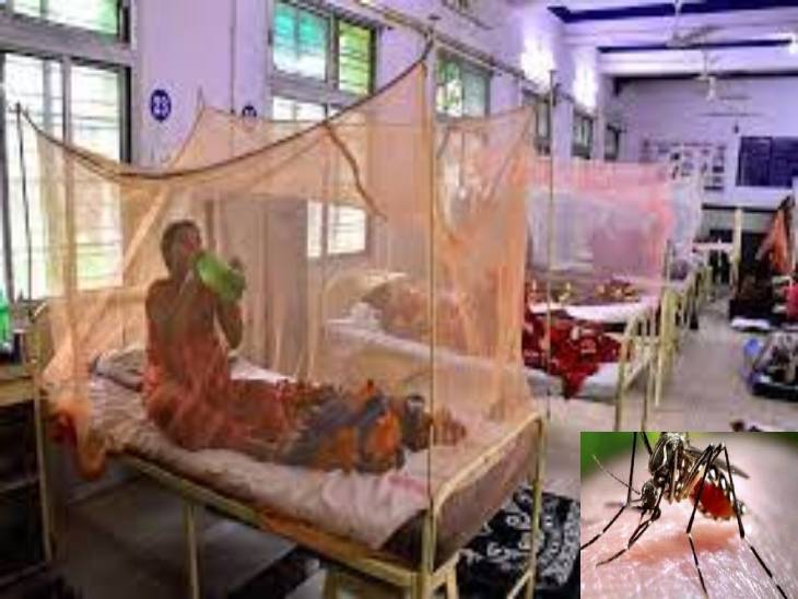 डेंगू से अस्पताल भरे पड़े, सरकारी आंकड़ों में 433 ही बीमार।
