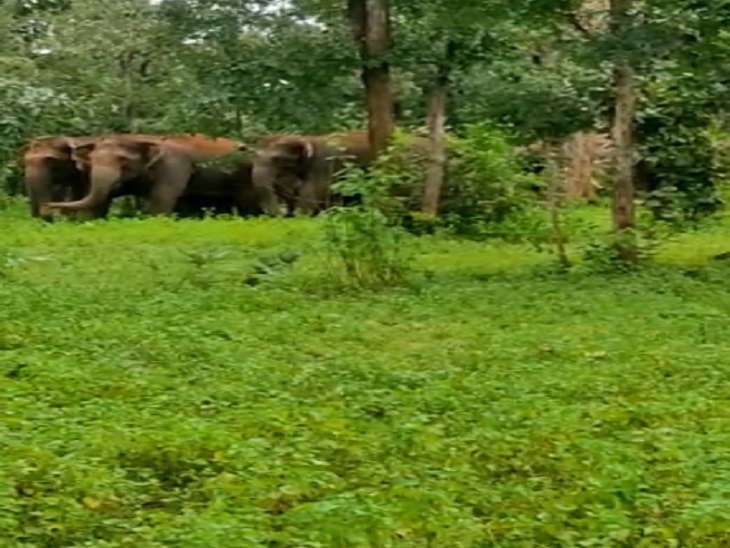 साप्ताहिक समाचार पत्र नेगने का परीक्षण किया, मैग वेप .