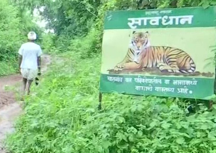 स्थानीय लोगों को सावधान करने के लिए वन विभाग ने इस तरह के बोर्ड इलाके में लगाये हैं।
