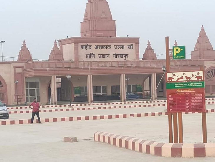सीएम योगी के कार्यकाल में गोरखपुर को एक बड़ी सौगात चिड़ियाघर की भी मिली है।