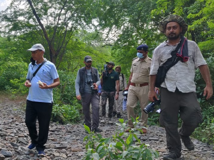 तितलियों पर सर्वे करने अरावली क्षेत्र में पहुंचे विशेषज्ञ।