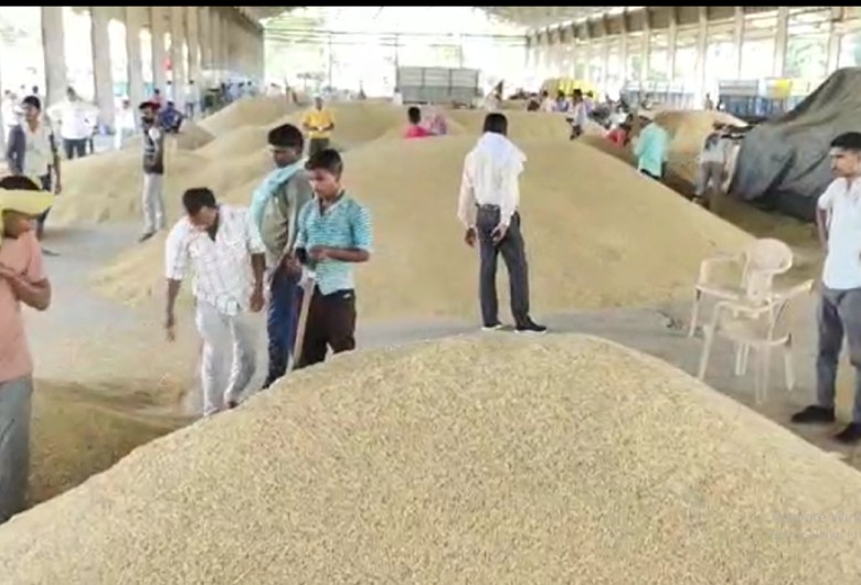 मंडी में लगी धान की ढेरियां।