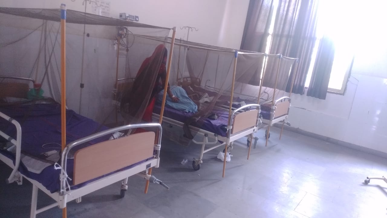 डेंगू वार्ड में भर्ती मरीज।