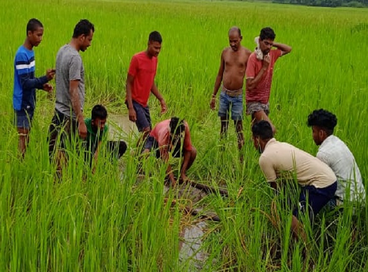 मिशक्त के बाद के समय को जांचा गया।