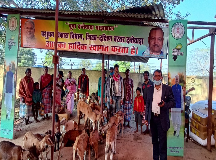 पशुपालन कर रहे हैं ड्रेड्रेड नियंत्रण अजीविका।