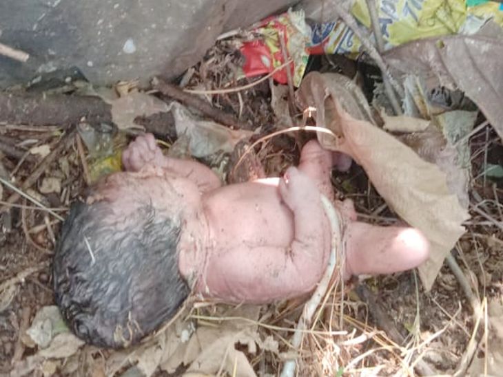 पत्थर किनारे झाड़ियों के बीच पड़ी मिली नवजात।