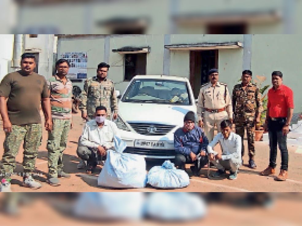 चिल्फीघाटी.पकड़े गए आरोपियों को जेल भेज दिया गया है। - Dainik Bhaskar