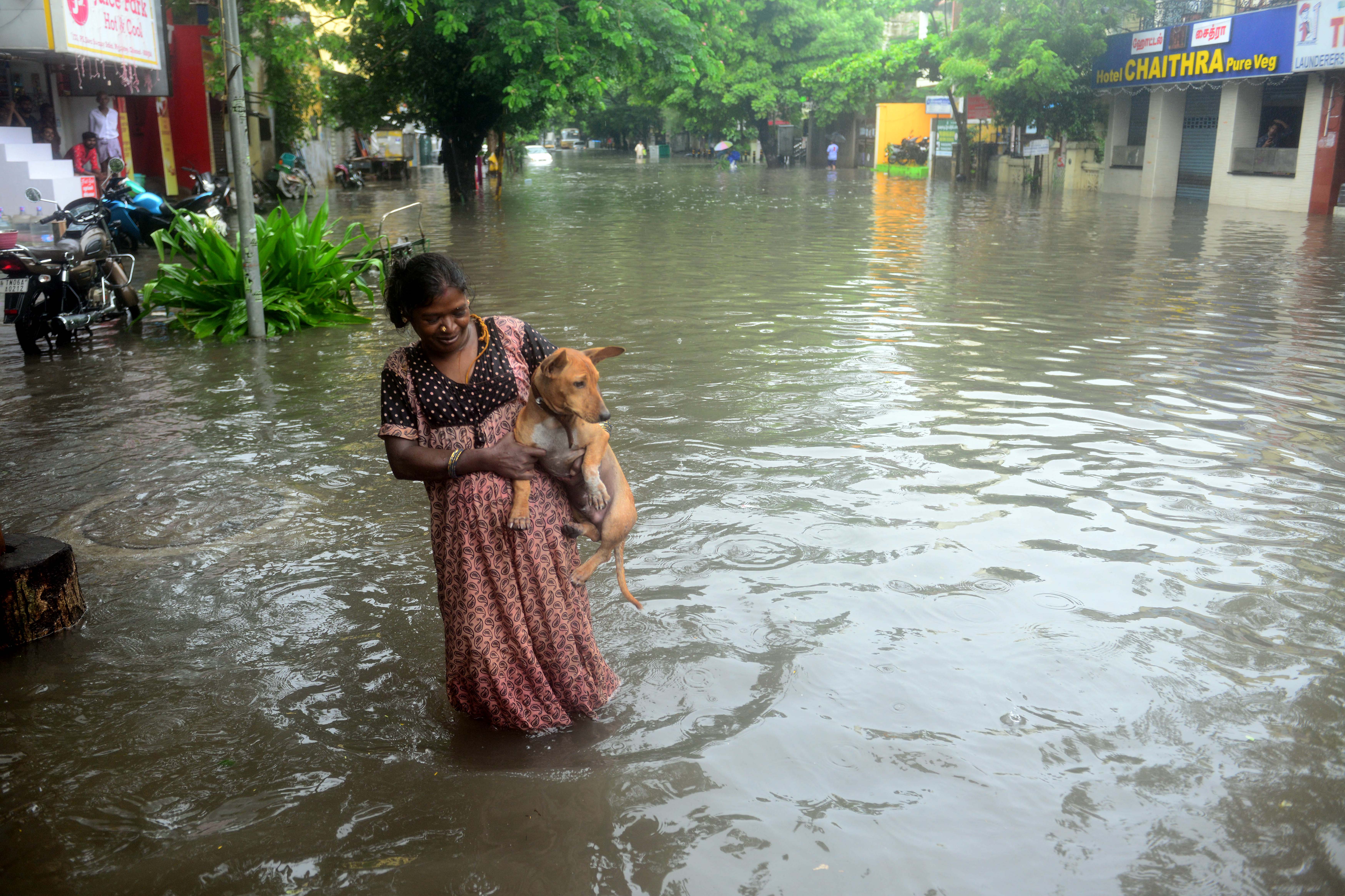 चेन्नई में भारी बारिश के बीच जनजीवन अस्त-व्यस्त नजर आया तो वहीं एक महिला अपने कुत्ते को बारिश के पानी में डूबने से बचाती नजर आई।