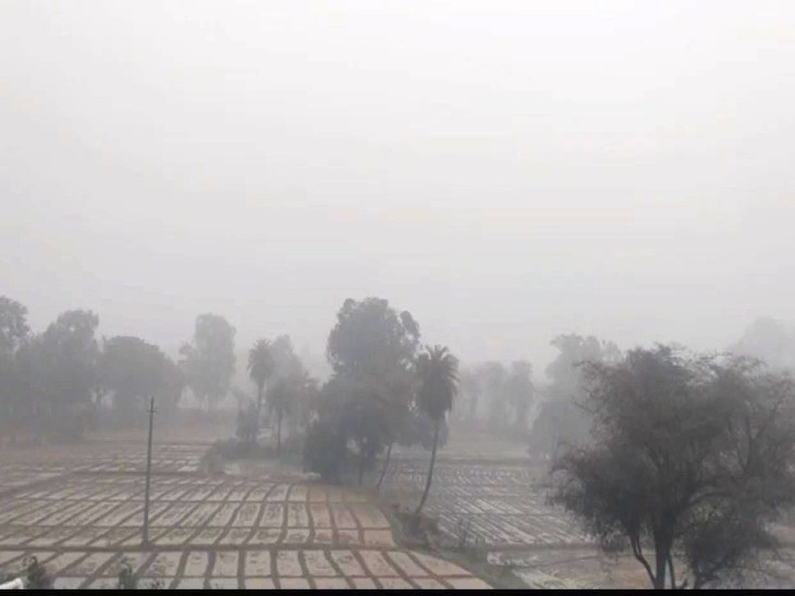 उदयपुर में बारिश के बाद छाया कोहरा।