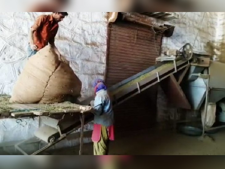 सोजत में मेहंदी तैयार करते श्रमिक।