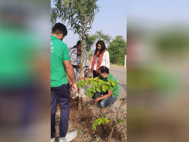 पौधरोपण करते लोग।