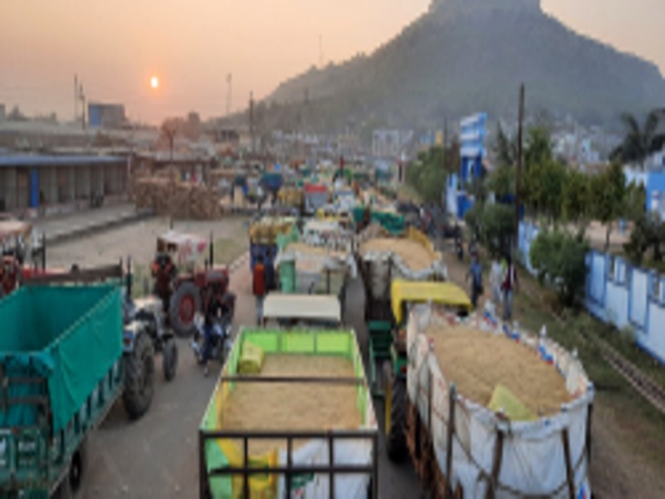 500 trolleys could not be auctioned yesterday; Now 17 thousand quintals