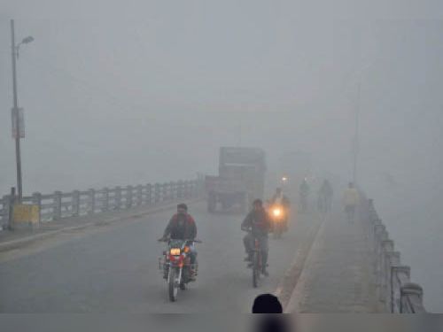 Dense fog gave a knock, fog remained in the villages till eight o'clock |  बदला मौसम: घने कोहरे ने दी दस्तक, गांवों में आठ बजे तक छाया रहा कोहरा -  Dainik Bhaskar