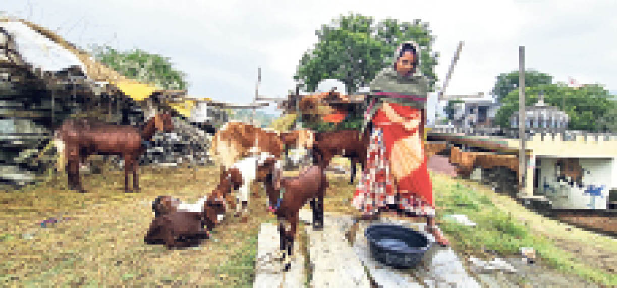 Sarpanch पंचायत का काम दबंग कर रहे, मोहर जेब में, सरपंच के फर्जी साइन कर रहे ...
