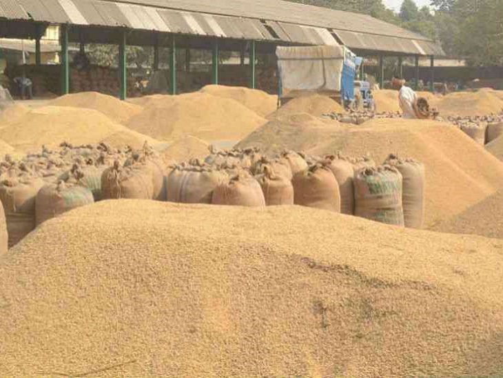 धान विशेष रूप से गुणवत्ता के साथ मिलकर काम करता है।