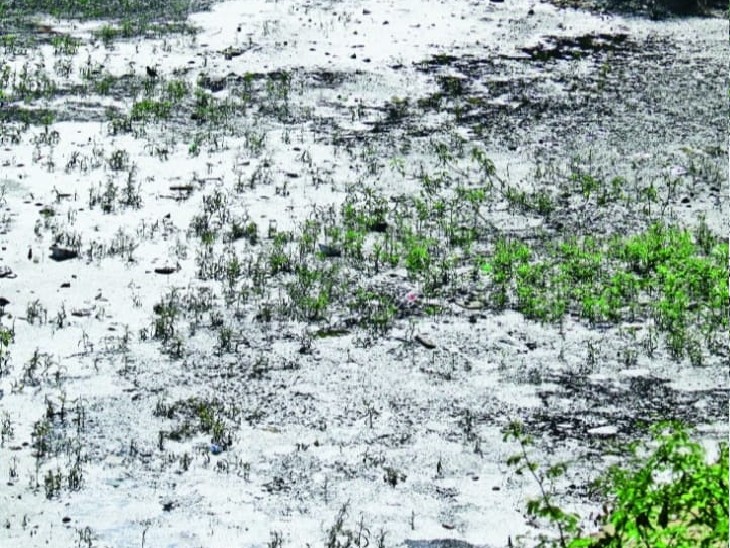 ग्वालियर में लगातार पारा गिरने से खेतों और पहाड़ियों में कुछ इस तरह का नजारा है।