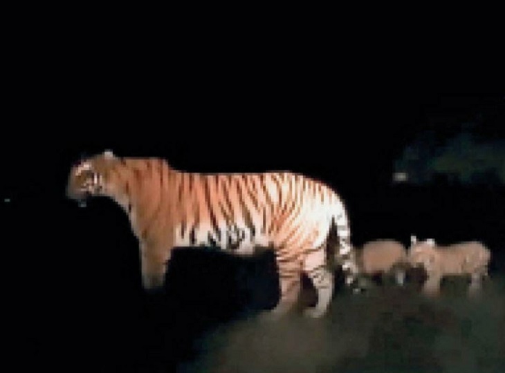 दावा किया गया है।