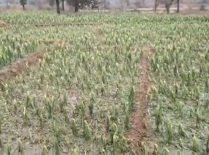 पखांजुर- परलकोट इलाके में जमकर बर्फबारी हुई थी।