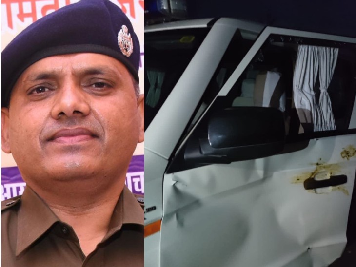 हादसे में बाल-बाल बचे सोजत डिप्टी:तेज स्पीड में आई नील गाय डिप्टी की कार से टकराई, डिप्टी चोटिल, नीय गाय की मौत
