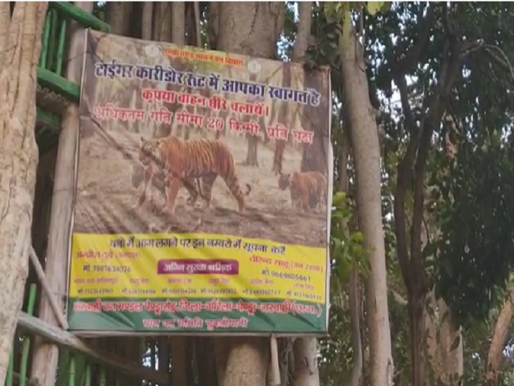 इस क्षेत्र में टाइगर कॉरिडोर का बोर्ड भी लगाया गया है।