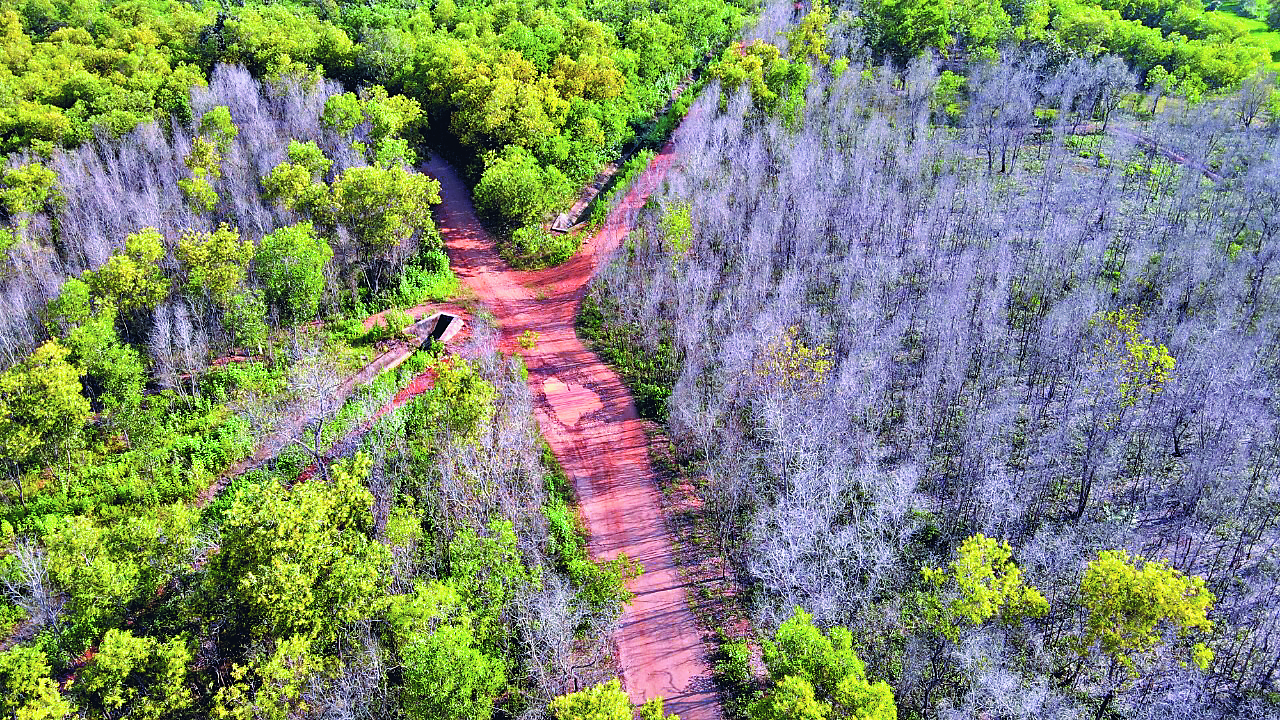 Thousands of acres of land hollowed out, no one to stop illegal mining