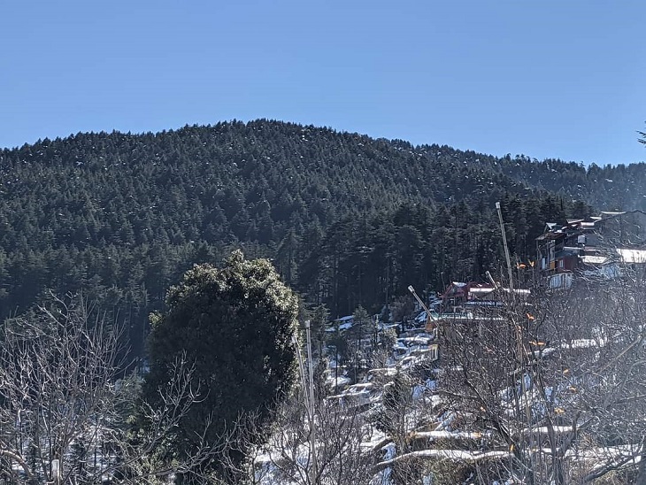 चियोग में ताजा हिमपात के दृश्य।