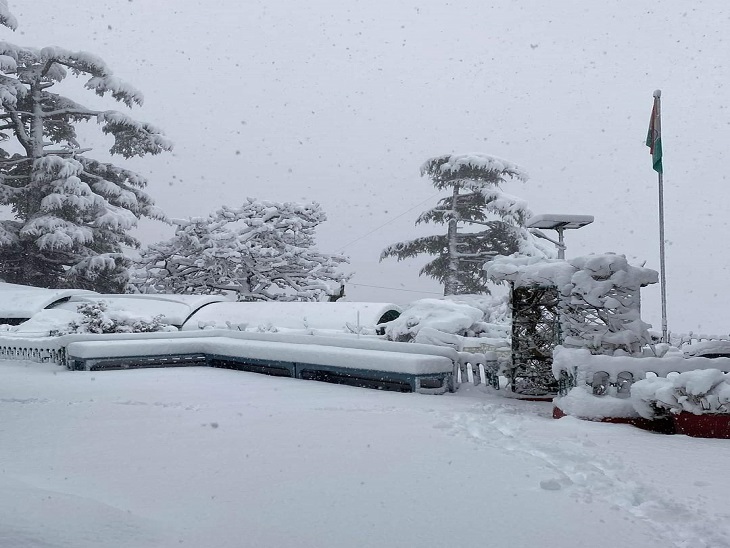 Snowfall scene in Shimla.