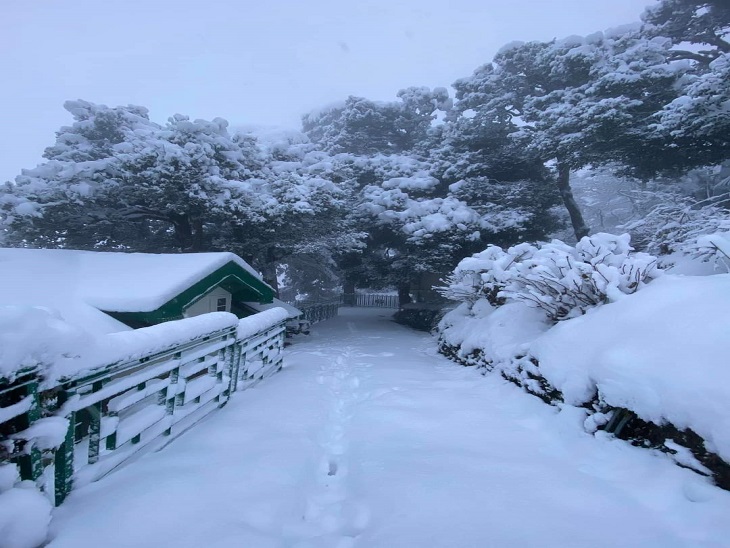 The road connecting Jakhu to Shimla Ridge is covered with snow.