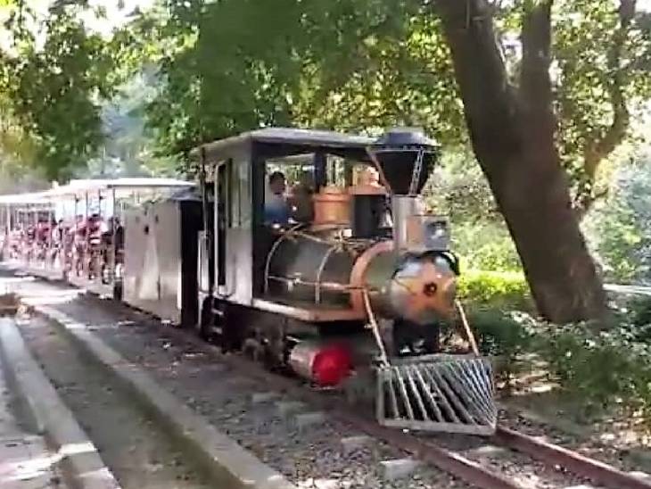 Children train started in Kanpur zoo after 7 months, insurance of Rs 5